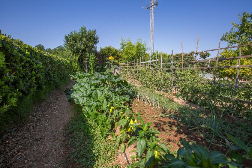 Alquiler vacacional en Villa fernando, Manacor
