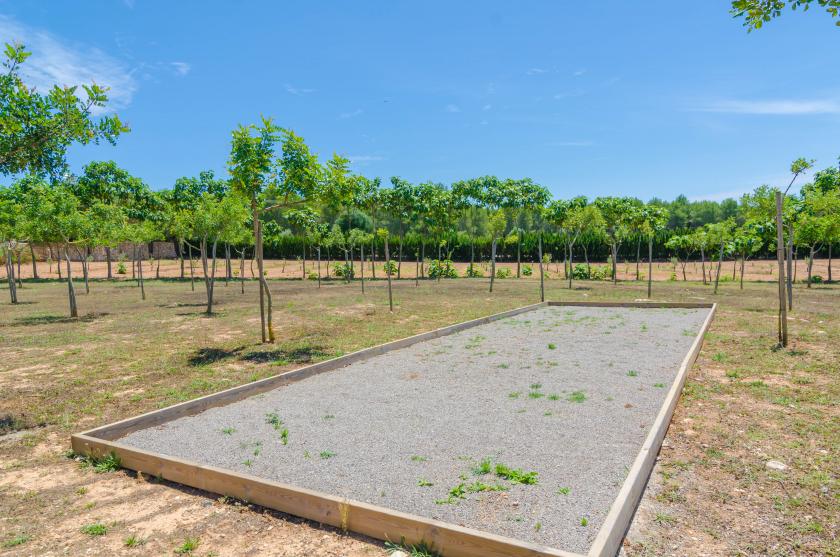 Finca short de conies 2
