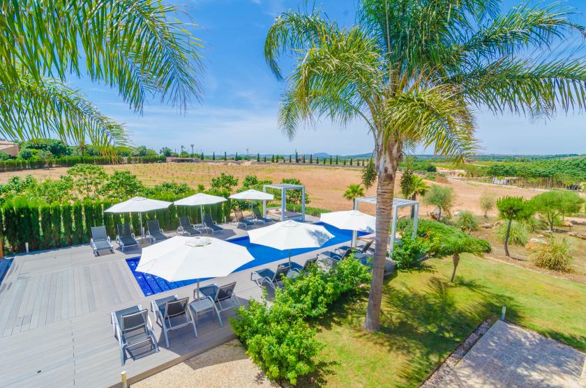 Finca short de conies 2