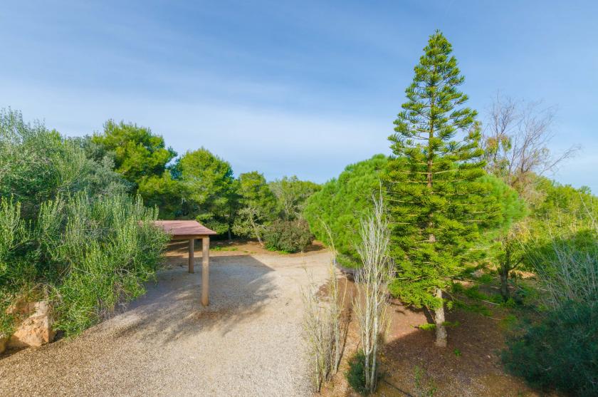 Holiday rentals in Es figueral, Campos