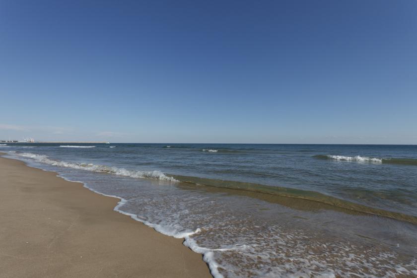 Holiday rentals in Cotton, Urbanització Platja d'Oliva