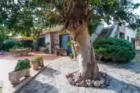 Ferienhaus auf Farigola