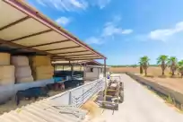 Ferienhaus auf Sa caseta de ses vaques.son covas