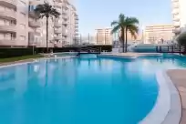 Holiday rentals in Paraíso