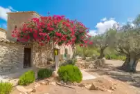 Ferienhaus auf Can tiona