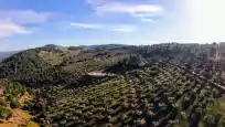 Ferienhaus auf Finca molino don zoilo 4