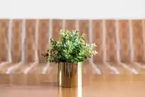 Ferienhaus auf Júpiter 1