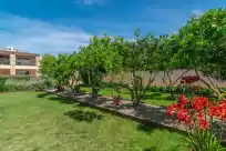Ferienhaus auf Finca castillo