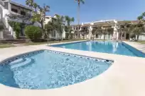 Ferienhaus auf Tropik