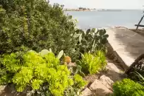 Ferienhaus auf Racó cas cabriol