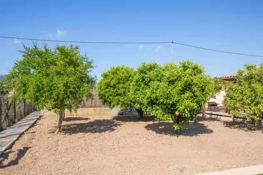 Alquiler vacacional en Shostalet, Algaida