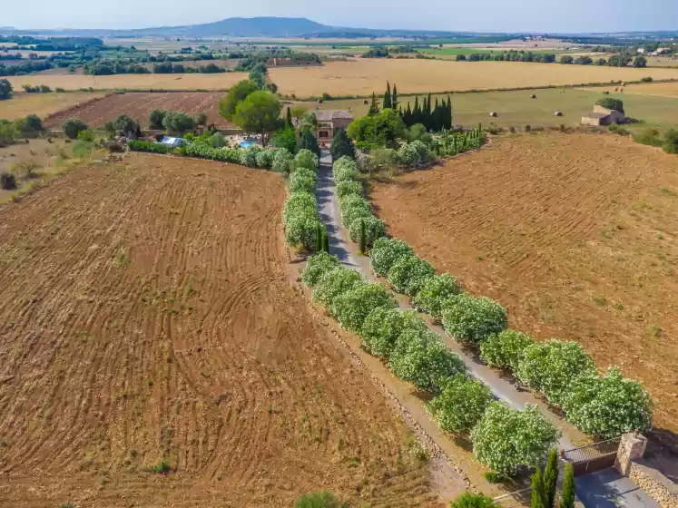 Alquiler vacacional en Banc doli, Manacor