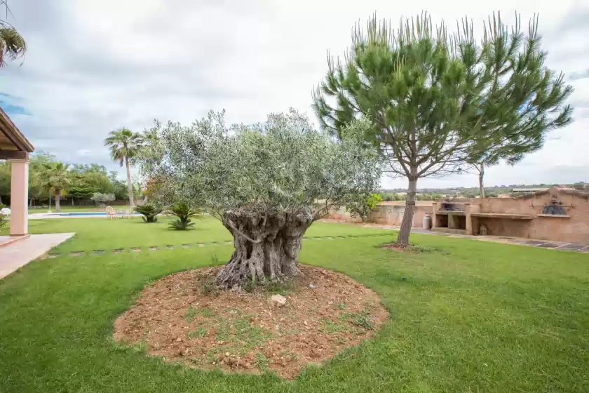 Holiday rentals in Can rei, Campos