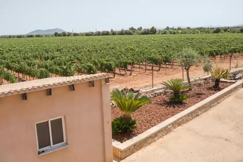Alquiler vacacional en Es trepitjador, Binissalem