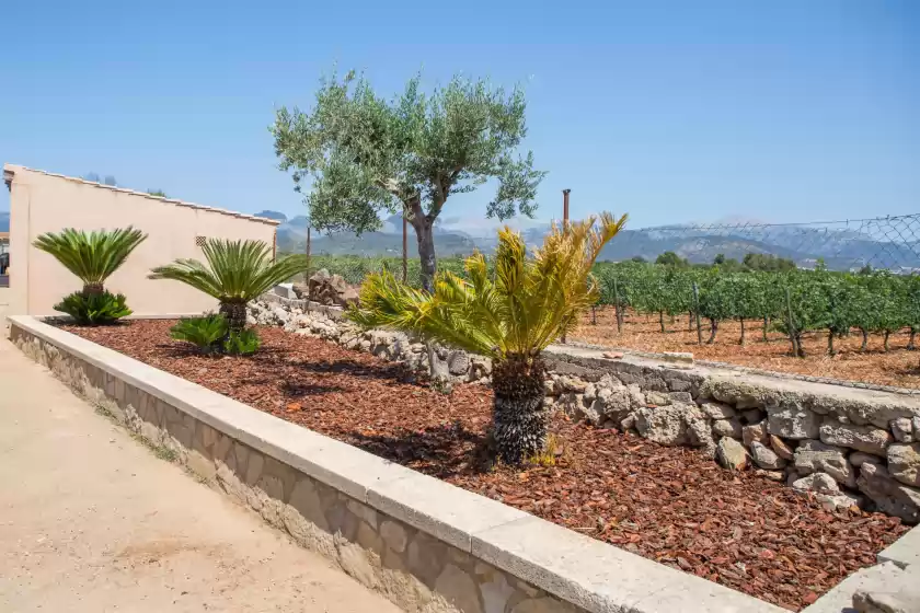 Alquiler vacacional en Es trepitjador, Binissalem