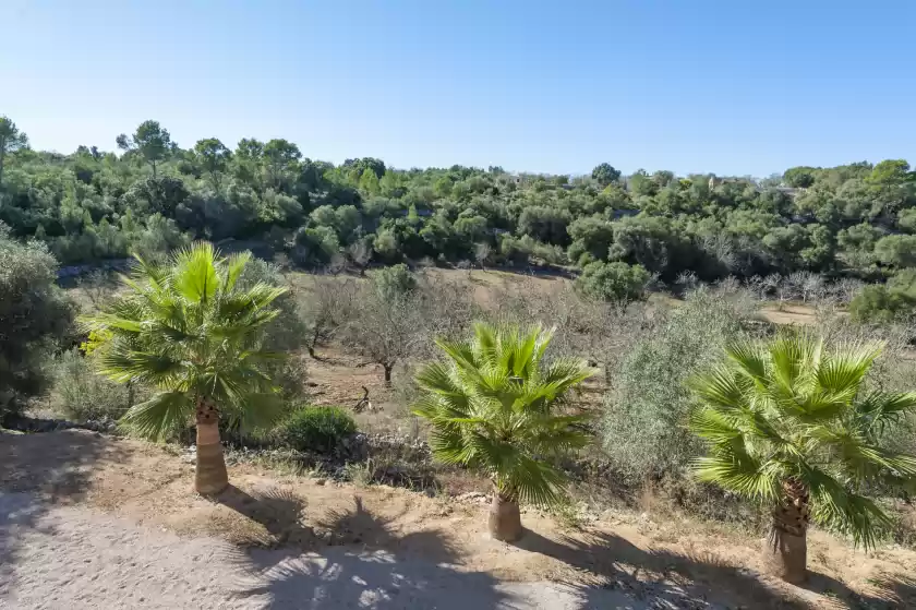 Alquiler vacacional en Sa cova de s'aigua, Sineu