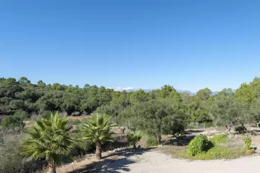 Alquiler vacacional en Sa cova de s'aigua, Sineu