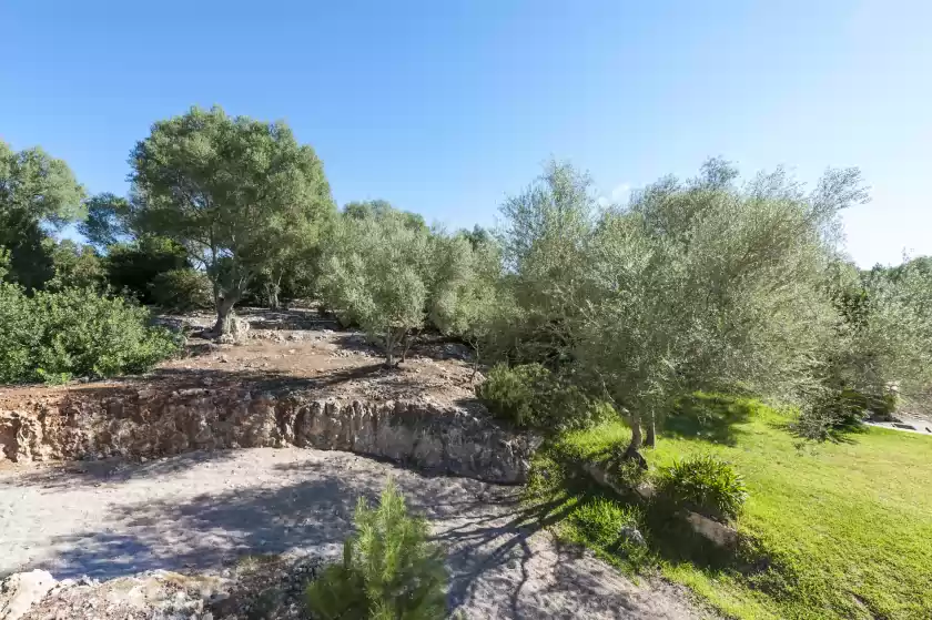 Alquiler vacacional en Sa cova de s'aigua, Sineu