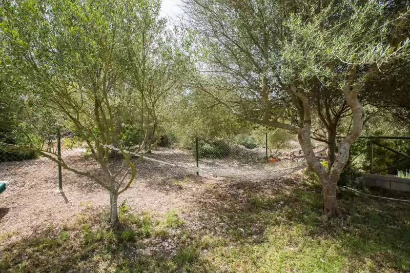 Holiday rentals in Pancuit, Son Macià