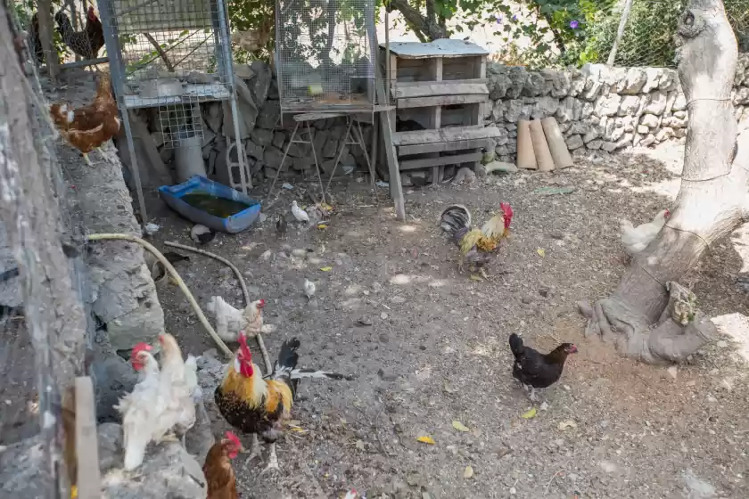 Holiday rentals in Pancuit, Son Macià