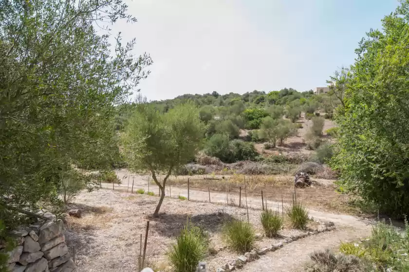 Holiday rentals in Pancuit, Son Macià