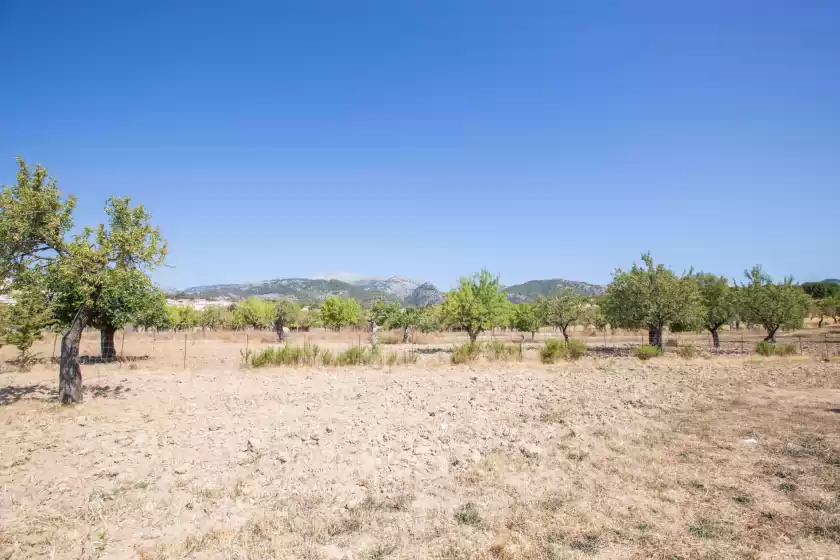 Ferienhaus auf Cas misser, Selva