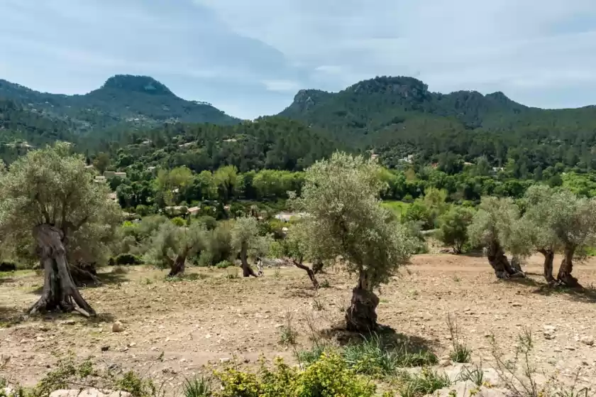 Alquiler vacacional en Can blau, Puigpunyent