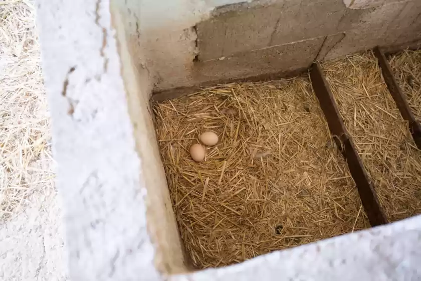 Ferienhaus auf Es marger, Sineu
