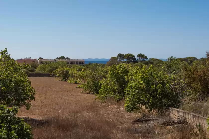 Ferienhaus auf Short de son fideu, s'Estanyol de Migjorn