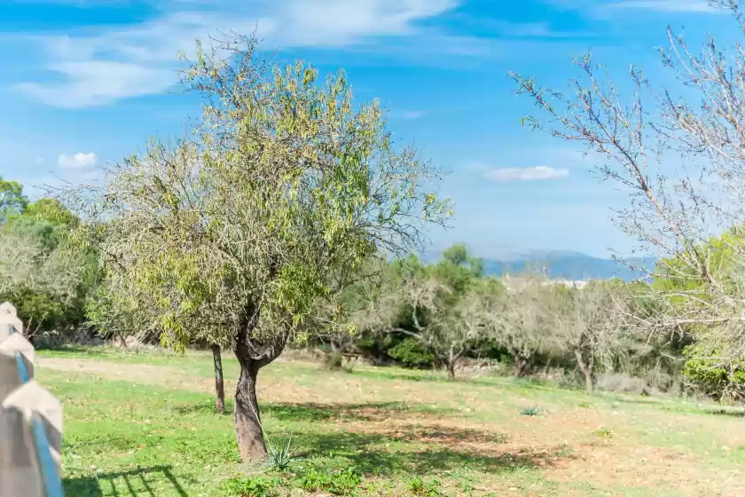 Holiday rentals in Son rossinyol, Llubí