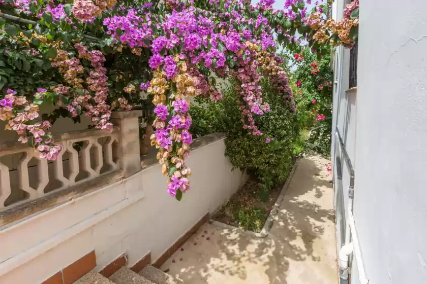 Alquiler vacacional en Can marzal, Alcúdia