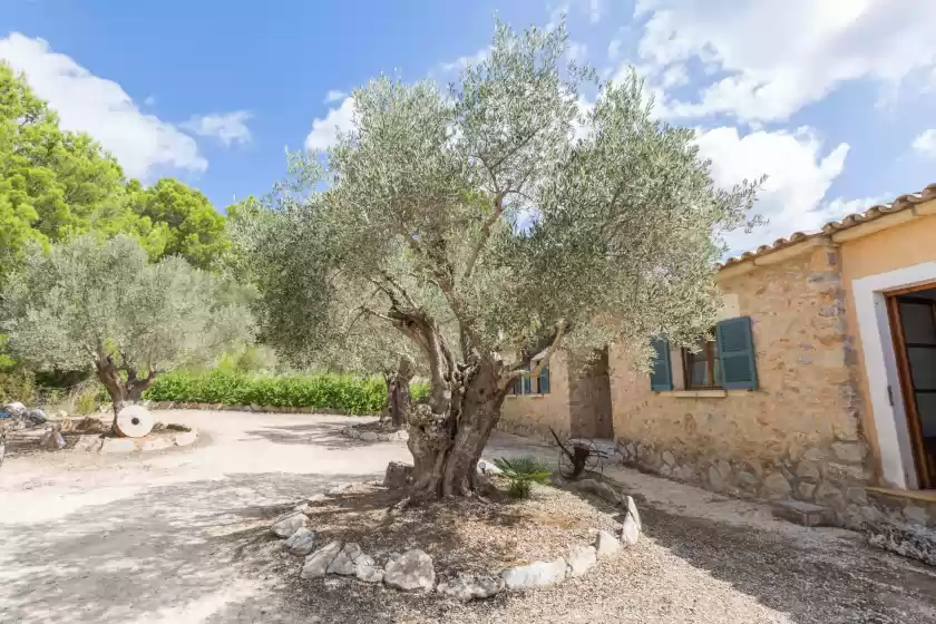 Holiday rentals in Coster des rafal, Son Servera