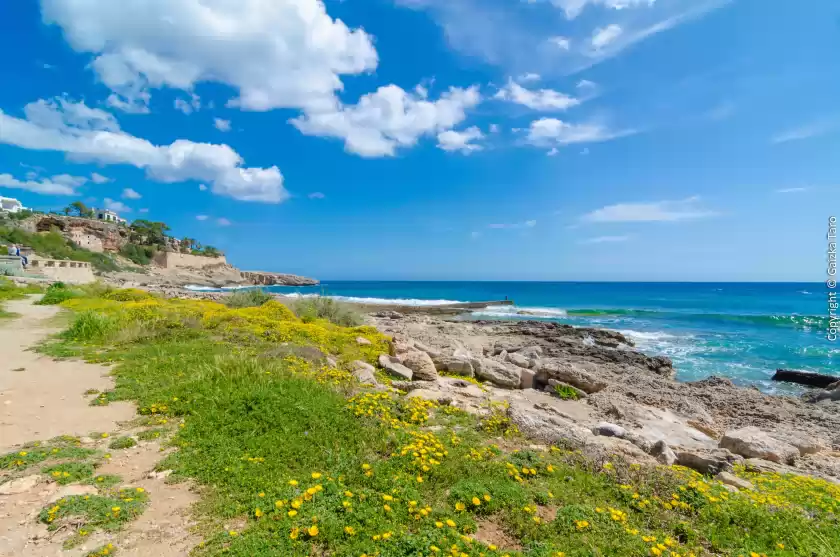 Holiday rentals in Puig foguer, Cala Murada