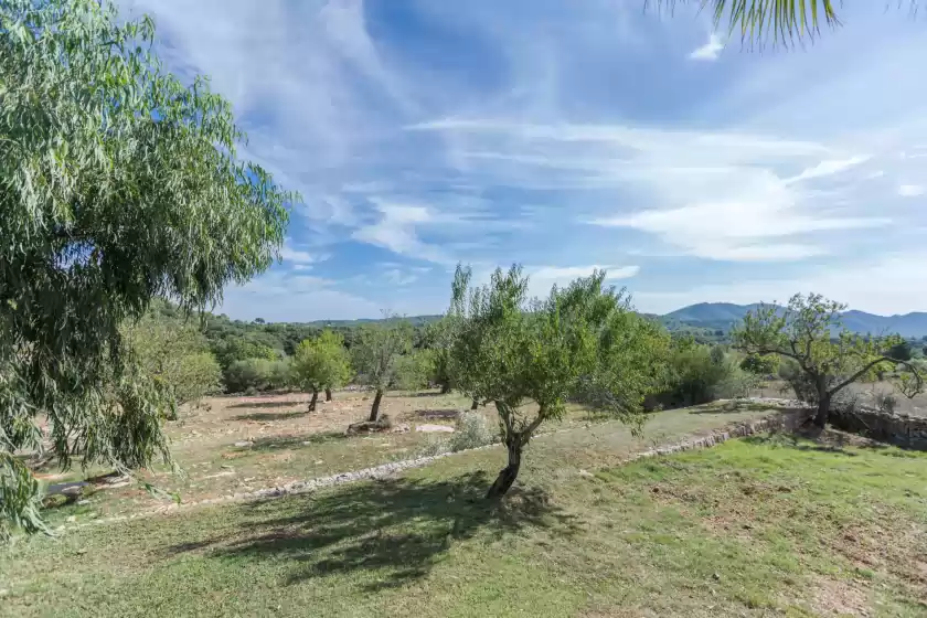 Alquiler vacacional en Rafal des sant 10, Son Servera