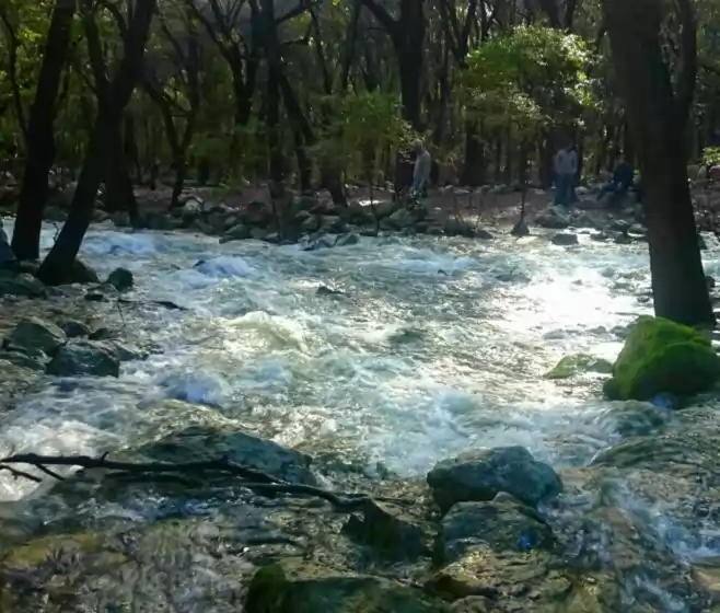Alquiler vacacional en Cas putxer, Sa Pobla