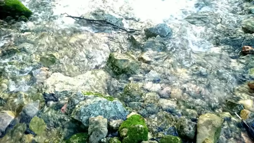 Alquiler vacacional en Cas putxer, Sa Pobla