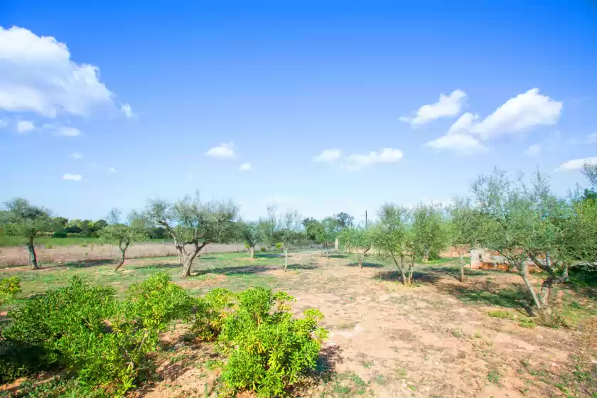 Ferienunterkünfte in Can salines, Felanitx