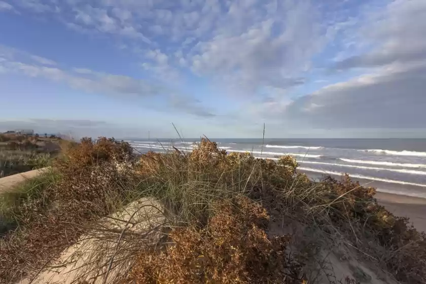 Alquiler vacacional en Pericà, Urbanització Platja d'Oliva