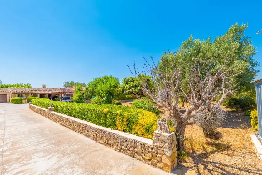 Holiday rentals in Can tomeu, Inca