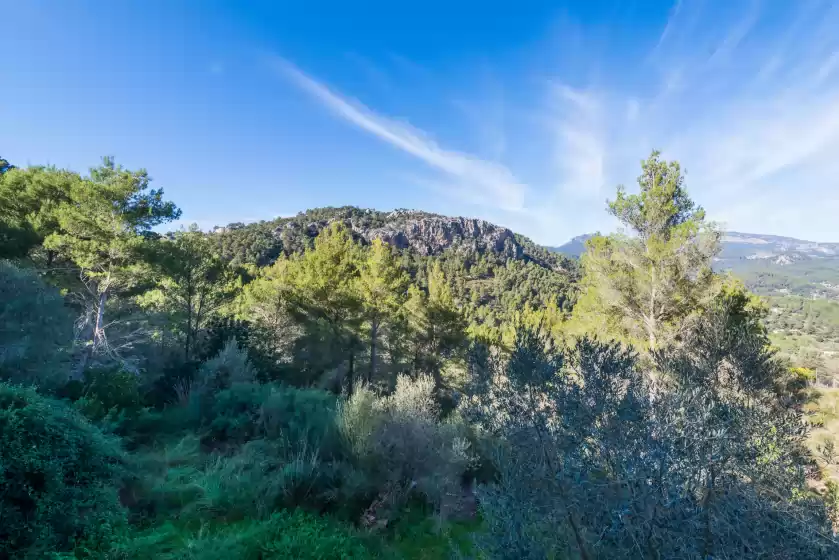 Holiday rentals in Timbals, Puigpunyent