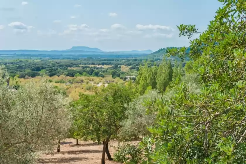 Alquiler vacacional en Sini, Búger