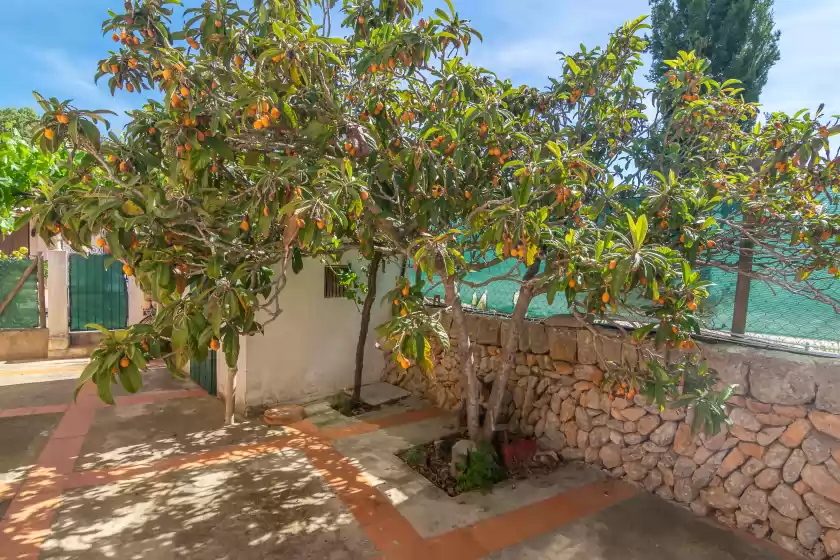 Holiday rentals in Son blau, Llucmajor