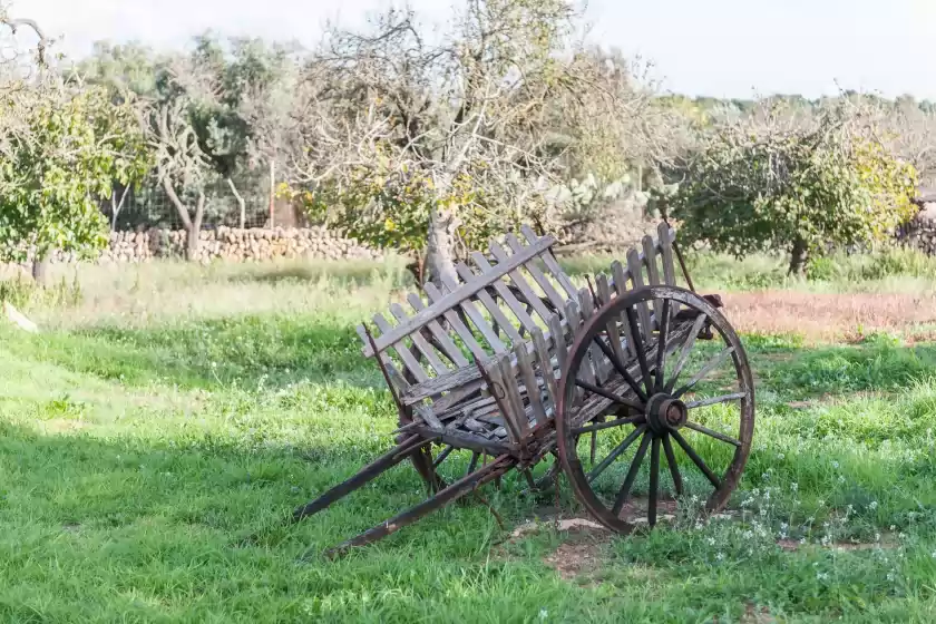 Holiday rentals in Can frit, Santa Margalida