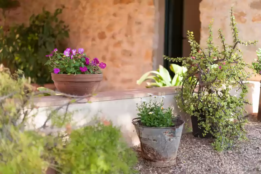 Holiday rentals in Ses coves, Llubí