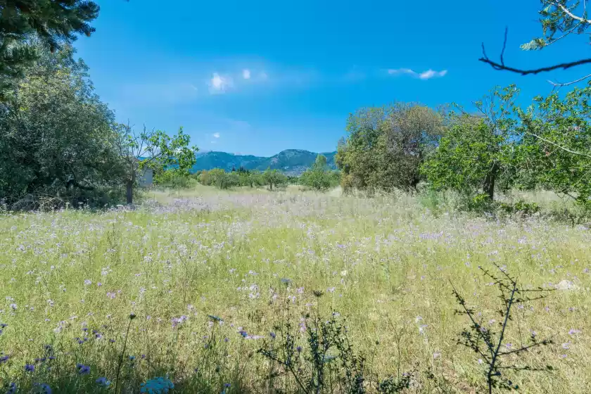 Ferienhaus auf Ca na sioneta, Campanet