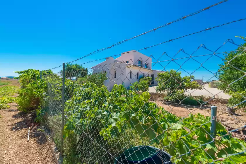 Holiday rentals in Sa sort llarga, Sa Pobla