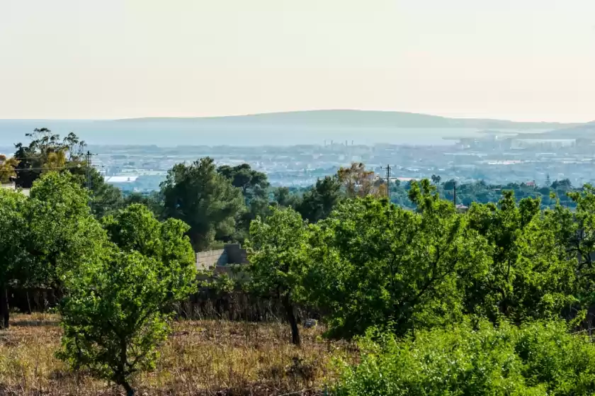 Alquiler vacacional en Son catiu nou, Pòrtol