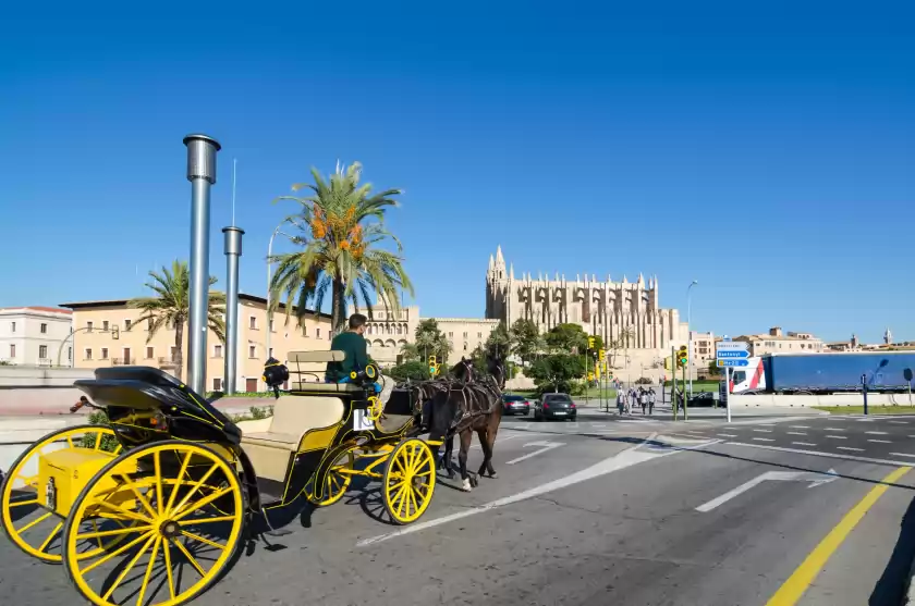 Holiday rentals in Fantastic, Sant Agustí