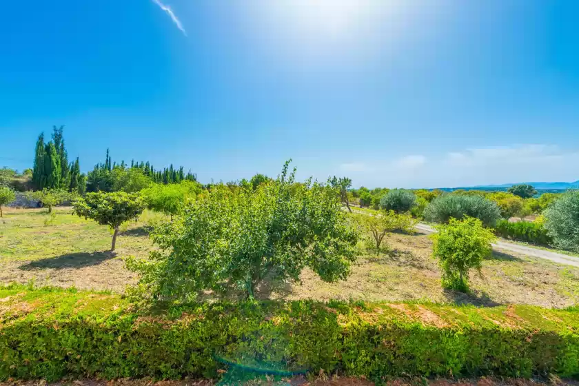 Holiday rentals in Sa bassa , Ariany