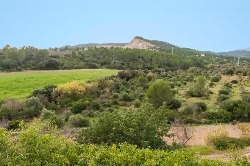 Alquiler vacacional en Sa donarda, Establiments